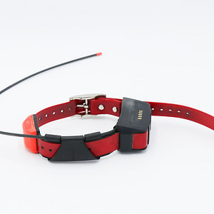 used dog tracking collars